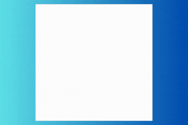 Visual Search